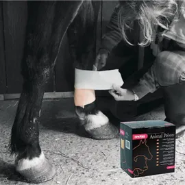 Snögg Animal Polster Bandage 14 cm x 200 cm Weiß