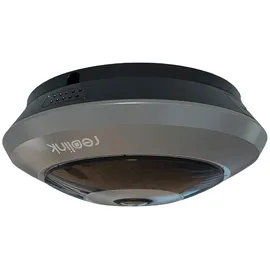 Reolink P520 Grau