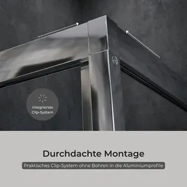 Schulte Sunny Duschtür anschlaglos 90 x 190 cm Sicherheitsglas