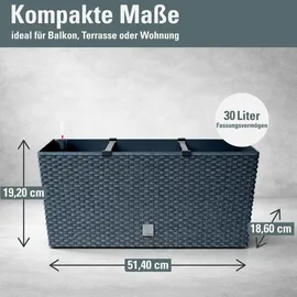 Prosperplast Rato Case 51,4 x 19 x 18,65 cm Anthrazit