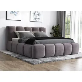 mebloland Polsterbett SONIC -OM 120 x 200 mit Bettkasten. Farbe: Grau - Grau