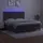 vidaXL Boxspringbett mit Matratze & LED Dunkelgrau 160x200 cm Samt
