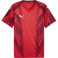 Puma teamFINAL Graphic+