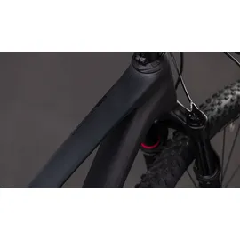 Cube Reaction C:62 Pro 2026 29 Zoll RH 42 cm schwarz