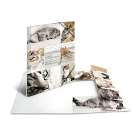 Herma Sammelmappe A4 Katzen