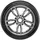 Radar Dimax 4 Season 195/55 R15 85V