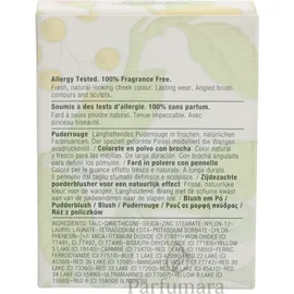 Clinique Blushing Blush Powder Blush innocent peach 6 g