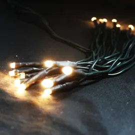 Mojawo 20'er LED Lichterkette grün-MLK023WG