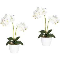 Kunstpflanze CREATIV GREEN "Phalaenopsis", weiß, B:11cm H:50cm T:11cm Ø:11cm, Polyester, Kunststoff, Kunstpflanzen
