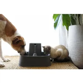 PetSafe Drinkwell PWW19-16562 7,5L