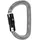 Petzl Karabinerhaken Grau