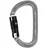 Petzl Karabinerhaken Grau