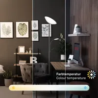 Briloner LED-Stehleuchte SUDA CCT anthrazit