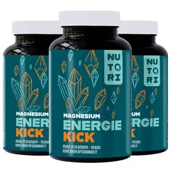 Energie Kick Magnesiumcitrat – Für mehr Energie, Muskeln und mentale Balance 360 Kapseln