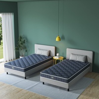 BedStory Matratze für Einzelbett, hochdichter Schaumstoff, Bonnell-Federkernmatratze, Frühling, grau, 90x190x14cm