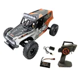 Drive & Fly Models RC-Auto Truck EX-06 CH RTR Bunt (3149)