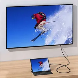 Equip USB-C-zu-DisplayPort-Kabel 1,0 m Grau