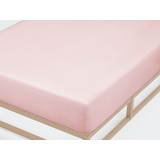biberna 0077155 Jersey 180 x 200 - 200 x 200 cm hellrosa