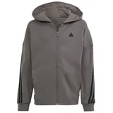 adidas Kinder Kapuzensweat Future Icons 3-Streifen, CHACOA/BLACK, 140