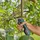 Gardena Gartenschere AssistCut