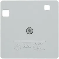 Berker Zentralstück alu/matt lack 14961404