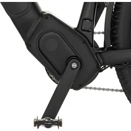 Fischer Terra 8.0I All Terrain 2023 29 Zoll 45 cm Damen schwarz