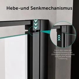 doporro Teramo66 Duschtür rechts 140 x 195 cm D648360641500