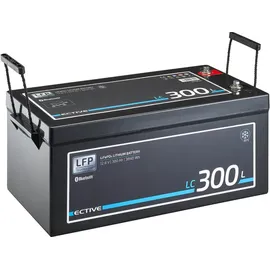 Ective LC 300L Versorgungsbatterie 12V 300 Ah 26,8 x 22,8 cm Schwarz