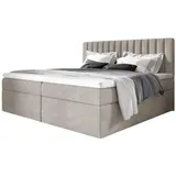 Fun Möbel Boxspringbett Schlafzimmerbett LINNEA 140x200cm Stoff Beige, inkl. Bettkasten - Beige