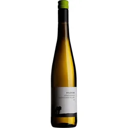 Sauvignon Blanc vom Quarzit Weingut Pflüger 2023 BIO