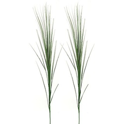 Ziergras, 70 cm, 2 Stück