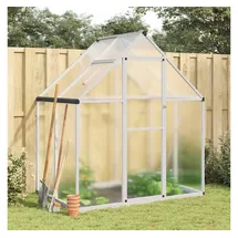 vidaXL Gewächshaus mit Fundamentrahmen Silbern 169x114x195 cm Alu