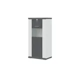Uno Highboard Titan ¦ grau ¦ Maße (cm): B: 66 H: 131 T: 42.0