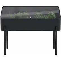 eva solo Anzuchtbox Simply Grow 33 x 63 x 80 cm Schwarz