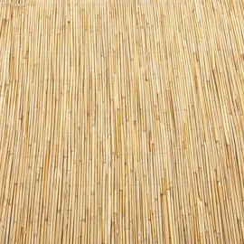 casa.pro Schilfzaun 100 x 500 cm Beige