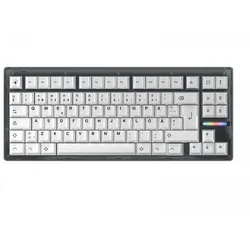 Wooting 80HE Ghost ISO + BoW Keycaps