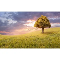Fototapete PAPERMOON "Baum in Landschaft", bunt, B:3,50m L:2,60m, Vlies, Tapeten