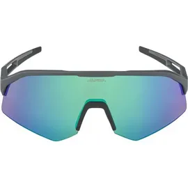 Alpina Sonic HR Q-Lite Sportbrille (Größe ONE SIZE, grau)