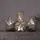 Star Trading LED-Dekostern Fauna 24 x 25 cm
