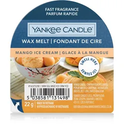 Mango Ice Cream 22g