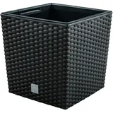 Prosperplast Rato Low 17 x 17 x 17 cm anthrazit