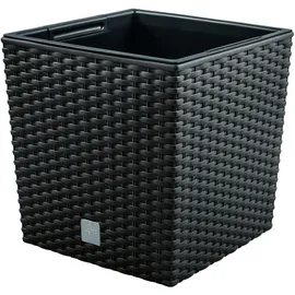 Prosperplast Rato Low 17 x 17 x 17 cm anthrazit