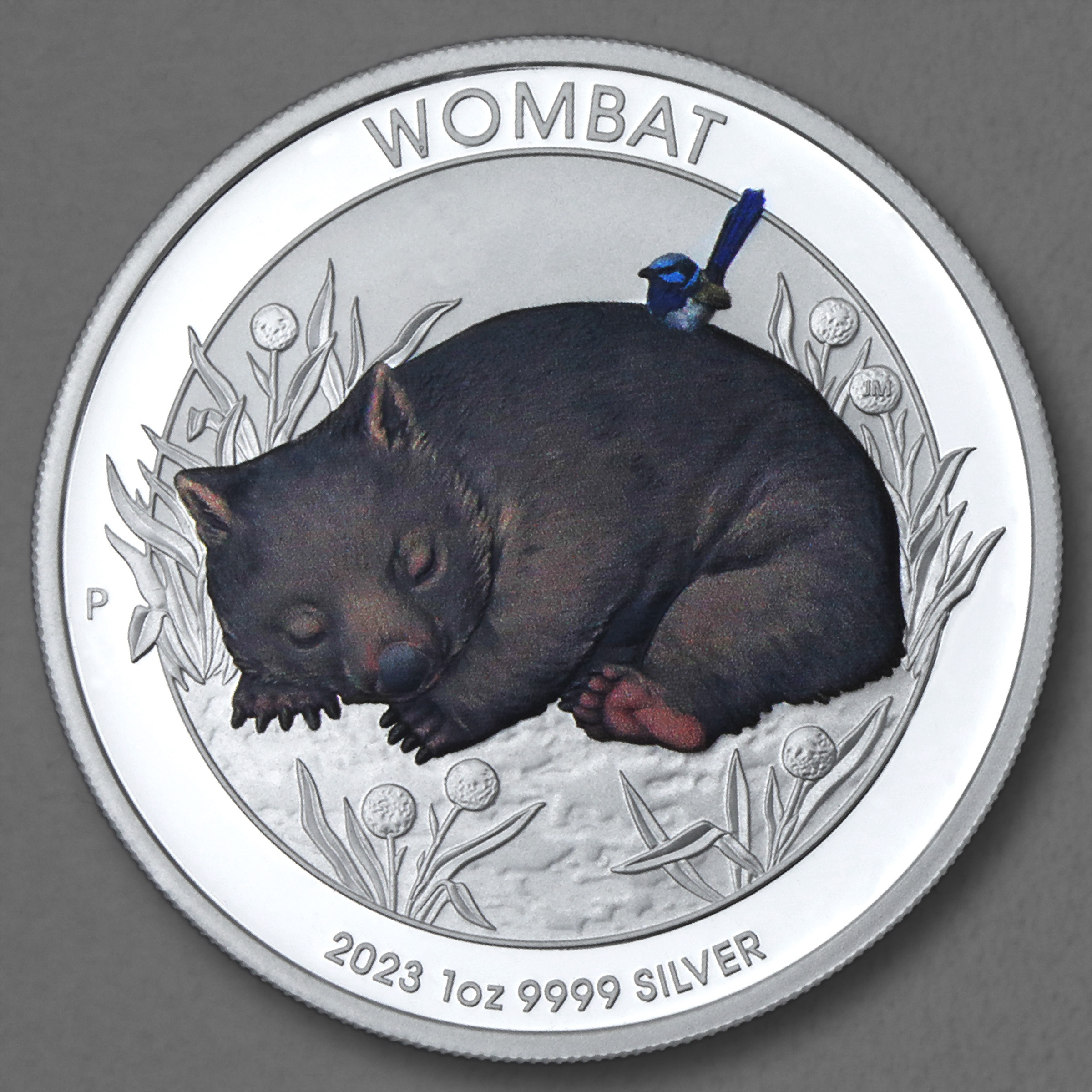 Silbermünze 1oz Australian Wombat 2023 coloriert