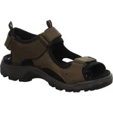 ECCO Offroad Herren nutmeg brown 48