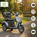 ECONELO E-Seniorenmobil Yogi-IQ 3-Rad 1000 Watt Grau