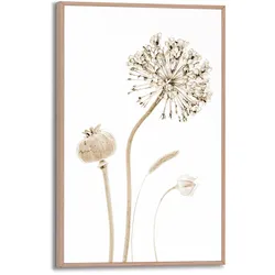 Reinders Wandbild 20 x 30 cm Flower Stills Holz Beige