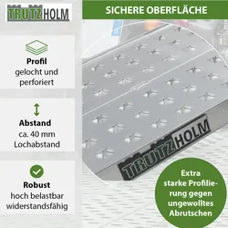 Baumarktplus TRUTZHOLM 2 x Auffahrrampen 200 x 28 cm 540 kg Alu gelocht starr grau Verladerampen Motorradrampen