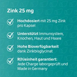 r(h)ein nutrition & health gmbh Zink 25 mg Immunsystem Plus hochdosiert+vegan Kapseln