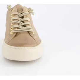 Paul Green 4081 beige 42