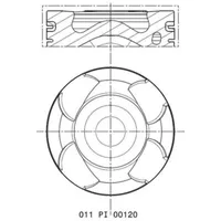 Mahle 011 PI 00120 002